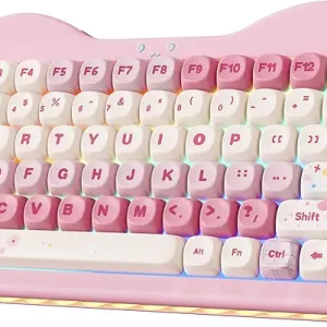 Mechanical Gaming Keyboard